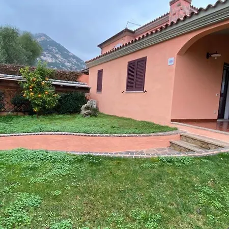 I Gelsomini Lu Lioni